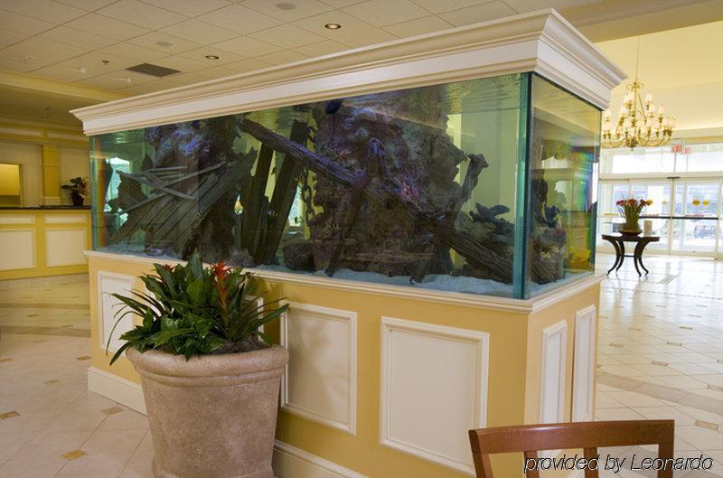 Hotel Hilton Garden Outer Banks/kitty Hawk